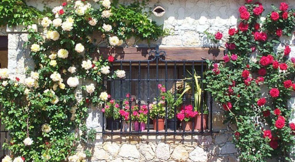 Castel Garoupe Hotel Antibes Ngoại thất bức ảnh